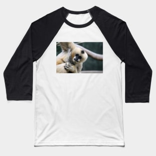 White-Cheeked Gibbon Baseball T-Shirt